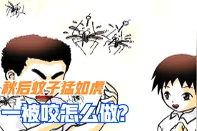 秋后蚊子猛如虎，咬后红肿瘙痒还留斑，医生教你三招解决视频封面