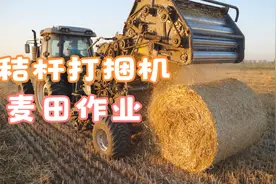秸杆打捆机麦田作业，国产车与进口车相比，谁更胜一筹视频封面