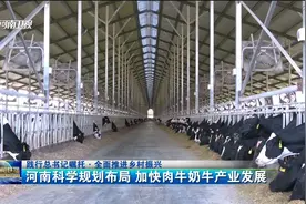 河南科学规划布局 加快肉牛奶牛产业发展视频封面