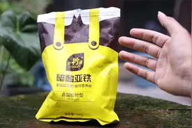 养花黄叶了怎么办？园艺师教你，用硫酸亚铁，迅速治理植物黄叶视频封面