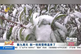 新一轮强冷空气上线，降温+雨雪+大风来了！山东最低气温-9到-4℃视频封面