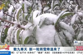 新一轮强冷空气上线，降温+雨雪+大风来了！山东最低气温-9到-4℃视频封面