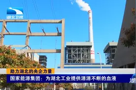 助力湖北！国家能源集团：为湖北工业提供源源不断的血液视频封面