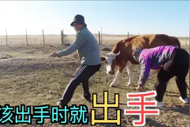 草原上遇到这样的事，万物皆有灵？旅行夫妻探寻元代最后的都城视频封面