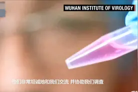 世卫专家一席话让西方一些人失望了 武汉实验室泄露病毒毫无根据视频封面
