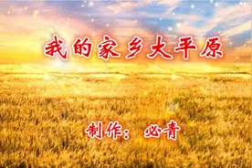 我的家乡大平原KTV  纯音乐卡拉OK字幕  群众演唱伴奏视频封面
