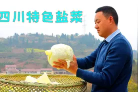四川老盐菜做法，10斤包菜做好只有半斤，现在会做的人越来越少了视频封面