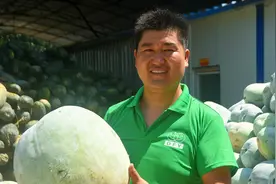 黑皮冬瓜和白皮冬瓜有啥不同，安徽瓜农详细介绍，原来区别很大视频封面