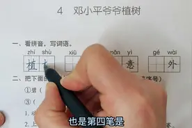 二年级语文下册第4课：同步测试，植树过程具体怎么写（附答案）视频封面