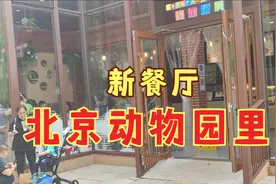 北京动物园美食新变化，多了很多家各色餐厅视频封面