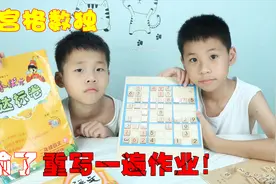 打开孩子思维的利器，兄弟俩挑战高难度数独棋盘，输了要重写作业视频封面