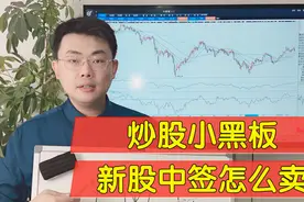 新股中签怎么卖？注册制来临，沿用老方法，亏损将成为常态！视频封面