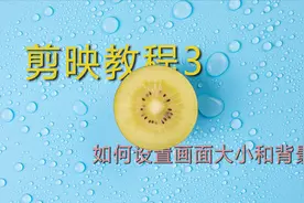 剪映教程3 教你如何设置画面大小和画面背景 全民求知季