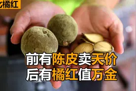 柚子放了50年，长满了绿毛，竟卖出3.8万元天价，它凭啥这么贵？视频封面