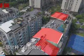 楼顶斜屋搭盖“大平层”，天台还加盖“阳光房”，是你家小区吗？视频封面