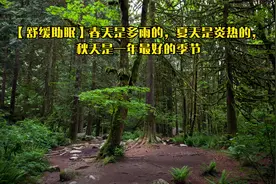 【舒缓助眠】春天是多雨的，夏天是炎热的，秋天是一年最好的季节视频封面