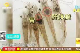 鲜虾煮熟后头变成黑色，这黑色是什么东西？难道是不新鲜了？视频封面