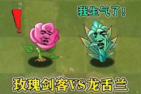植物大战僵尸2：玫瑰剑客VS龙舌兰，比比谁更受欢迎，搞笑片段！视频封面