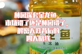 林园深套金龙鱼，市场错了还是林园错了，解密大跌背后的四大暗线视频封面
