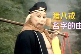 猪八戒名字的由来，有3个出处，哪一个对？视频封面