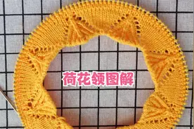 荷花领的编织和图解毛衣编织视频教程视频封面