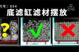 底滤缸滤材怎么摆放，多维度分析，你摆对了吗？视频封面