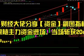 财经大佬分享【资金】副图指标，跟随主力资金进场，当场斩获20cm视频封面