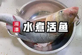 鱼肉鲜嫩，汤似牛奶的湖南湘潭水煮活鱼怎么做，20年大厨免费教你视频封面