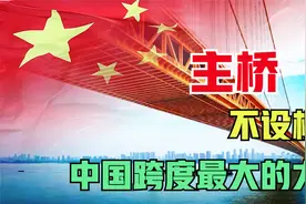 中国打造双螺旋大桥，斩获4个世界第一，技术领先全球10年视频封面