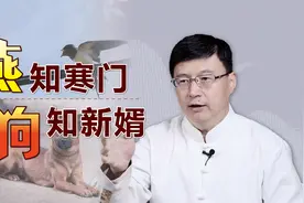 “燕知寒门，狗知新婿”，其实并非是迷信，都是动物本性罢了视频封面