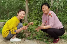 农村的臭菜是个宝，别不懂吃，教你好吃做法，不蒸不炒，回味无穷视频封面