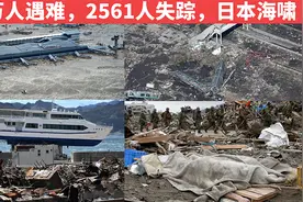 1.5万人遇难，2500人失踪，海水浪高14米灌进城市，2011日本海啸视频封面