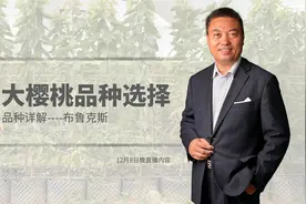 大樱桃品种优缺点介绍--布鲁克斯视频封面