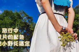 手把手教你手机拍人像，沙溪古镇，利用小野花配色轻松拍出九宫格视频封面