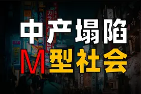 M型社会：中产塌陷、消费分层、必需品逻辑视频封面