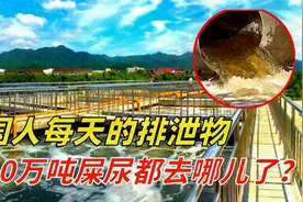 14亿中国人每天排泄240万吨屎尿，都去哪儿了？都是如何处理的？视频封面