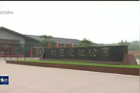 曲江杜邑遗址公园：高品质公园为市民带来高质量假期休闲时光视频封面
