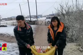 农民过年多豪横？半扇猪肉柈子搬回家，笨养猪肉这价格真实惠！视频封面