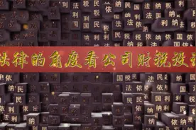 【律证网财税系列】从法律的角度看公司财税设计视频封面
