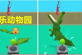 疯狂动物园：对不起，我不该惹鳄鱼生气的！视频封面