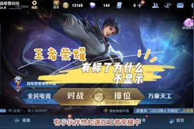 王者荣耀有标了为什么不显示视频封面
