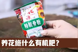 养花施什么有机肥？园艺师教你，使用骨粉，可以促进植物开花视频封面