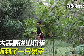 第40集丨大表哥进山狩猎，抓住了一只兔子，够吃几天的了。视频封面