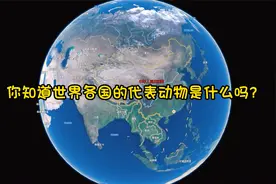 世界各国的代表动物你知道多少？视频封面
