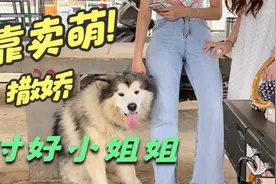 狗狗被两个漂亮小姐姐撸狗头，一脸享受的小表情，真是羡煞旁人视频封面