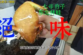 给北京的好哥们发邮寄10斤林蛙，正宗吉林桦甸大母豹子，肚大油肥视频封面