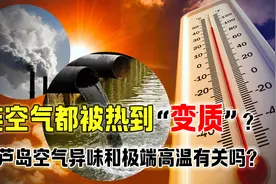 今年全国高温有多可怕？葫芦岛空气被烤到“变质”，市民叫苦连天视频封面