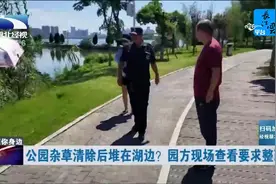 公园杂草清除后堆在湖边？圆方现场查看要求整改