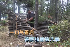 荒野独居第八季完整版，10人荒野求生100天争夺百万奖金，纪录片视频封面