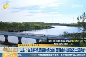 山东：生态环境质量持续改善，美丽山东建设迈出坚实步伐视频封面